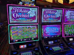 1redbet Apuestas Deportivas